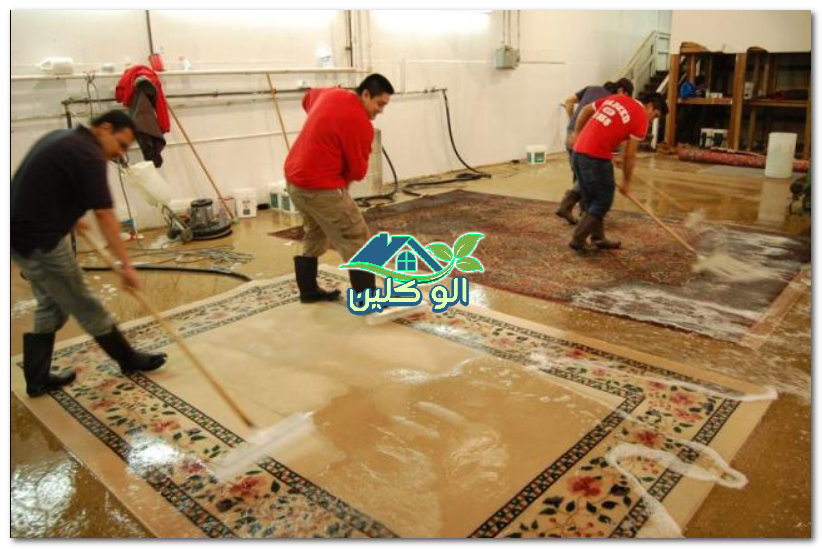 احصل على التحكم فعال فقط مغاسل الجبر غسيل سجاد centre of excellence org