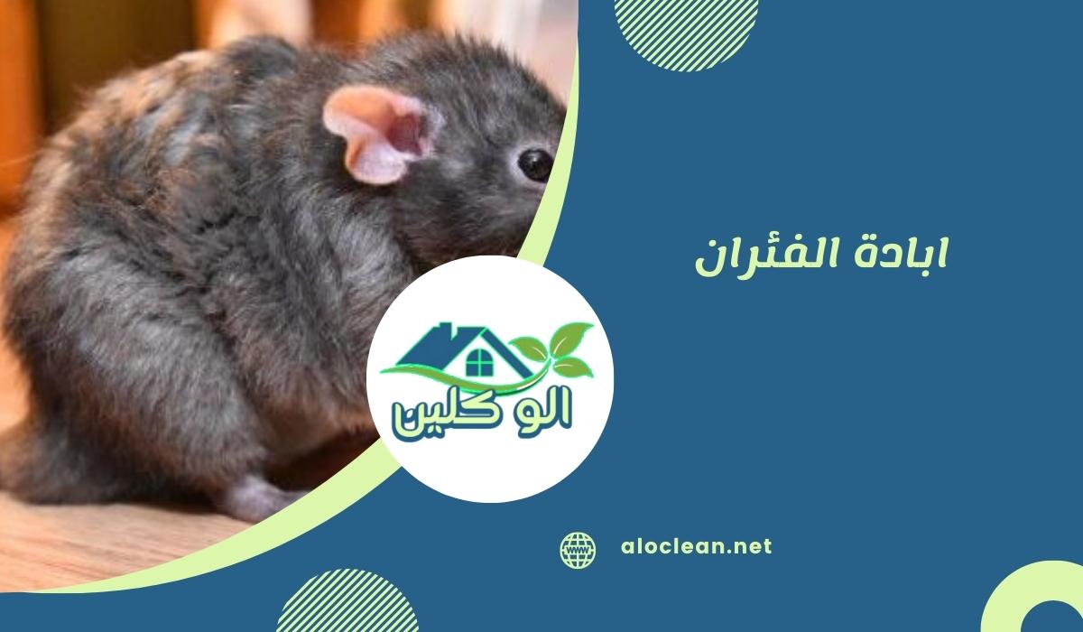 ابادة الفئران