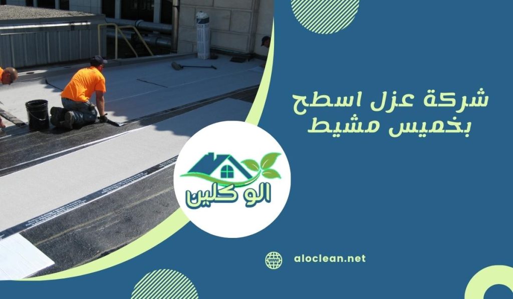 شركة عزل اسطح بخميس مشيط