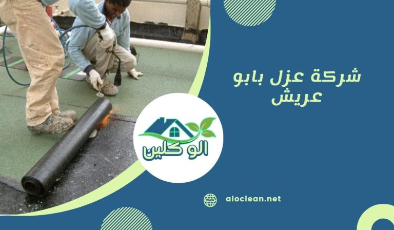 شركة عزل بابو عريش 5 شركة عزل بابو عريش