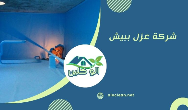شركة عزل ببيش