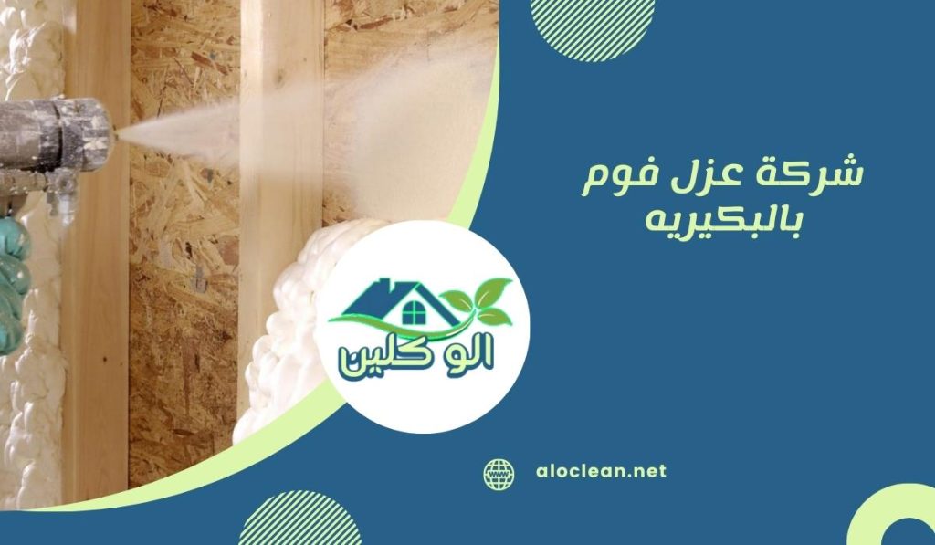 شركة عزل فوم بالبكيريه 1 شركة عزل فوم بالبكيريه