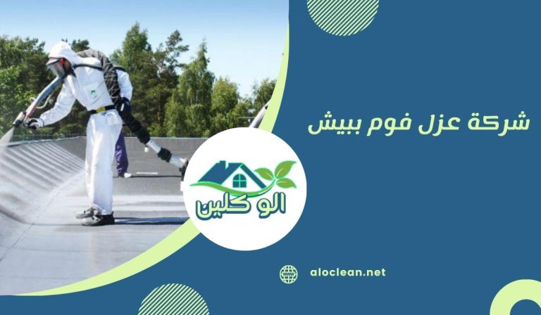 شركة عزل فوم ببيش