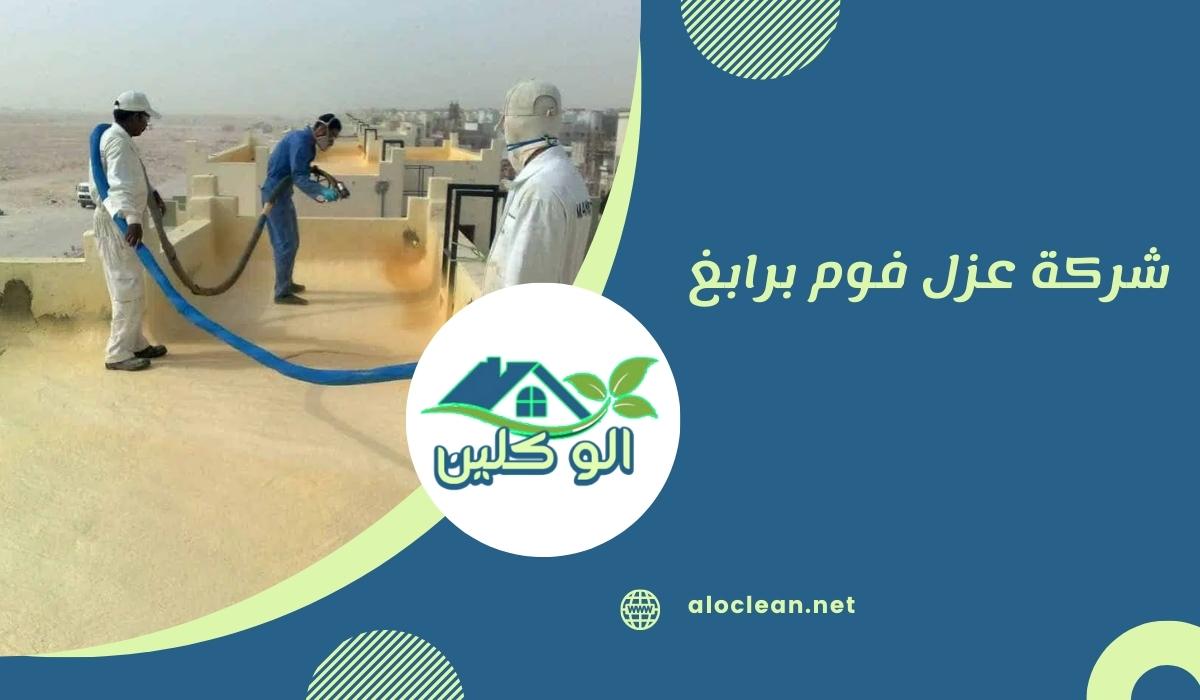شركة عزل فوم برابغ 1 شركة عزل فوم برابغ