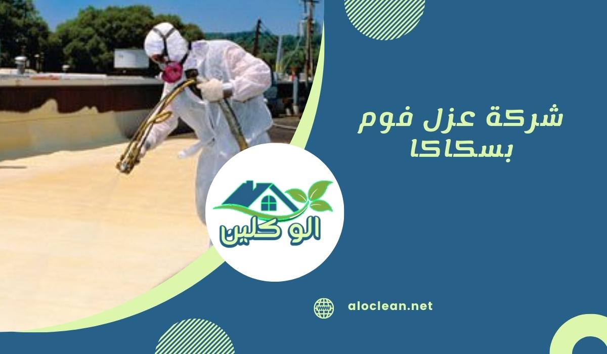 شركة عزل فوم بسكاكا