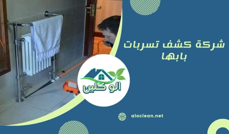 شركة كشف تسربات بابها