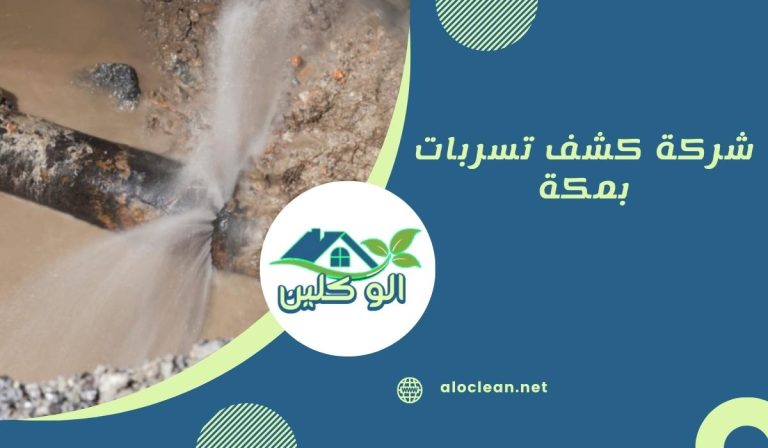 شركة كشف تسربات بمكة