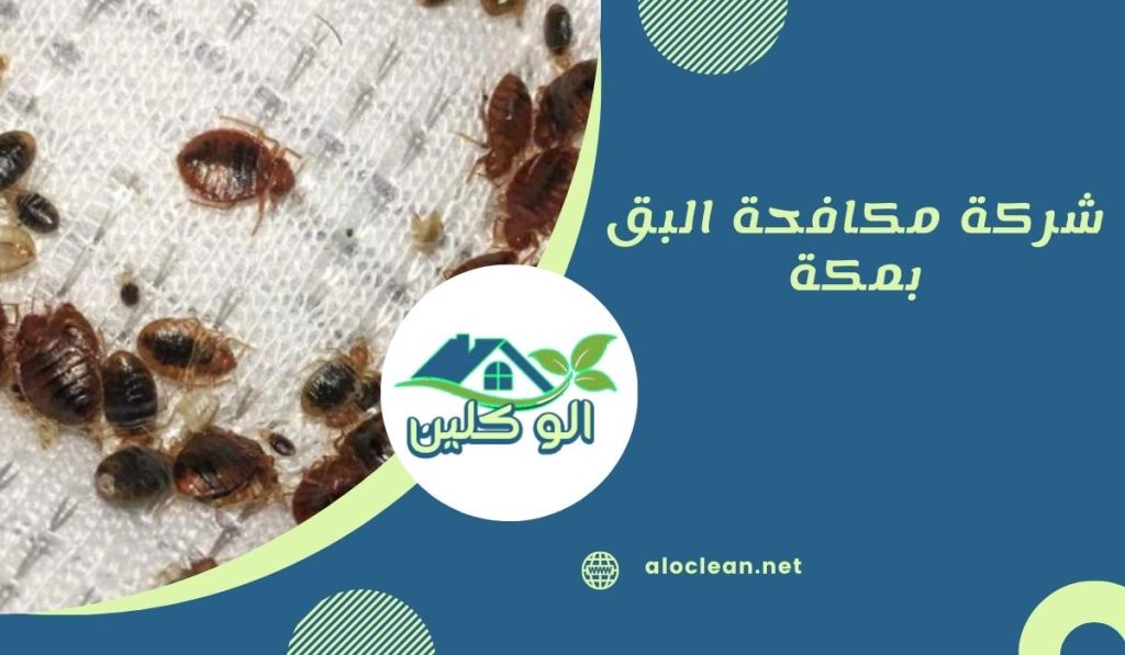 شركة مكافحة البق بمكة