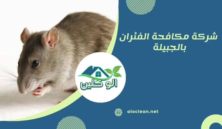 شركة مكافحة الفئران بالجبيلة 