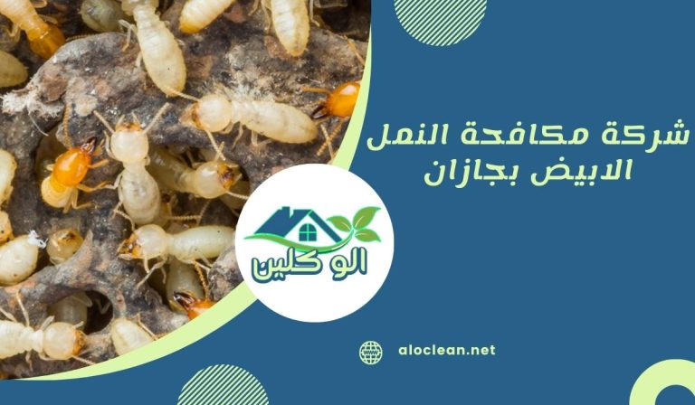 شركة مكافحة النمل الابيض بجازان