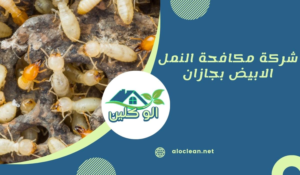 شركة مكافحة النمل الابيض بجازان