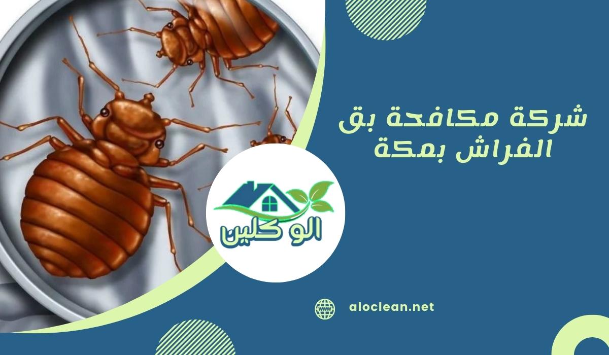 شركة مكافحة بق الفراش بمكة 1 شركة مكافحة بق الفراش بمكة