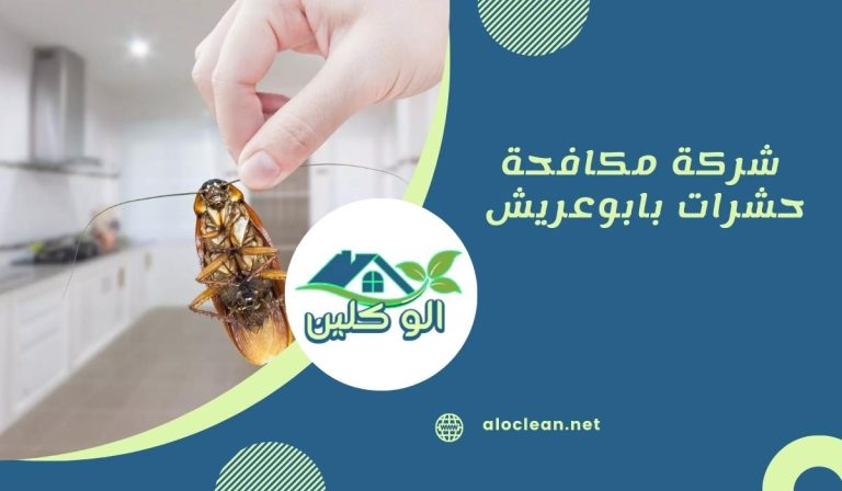 شركة مكافحة حشرات بابوعريش 