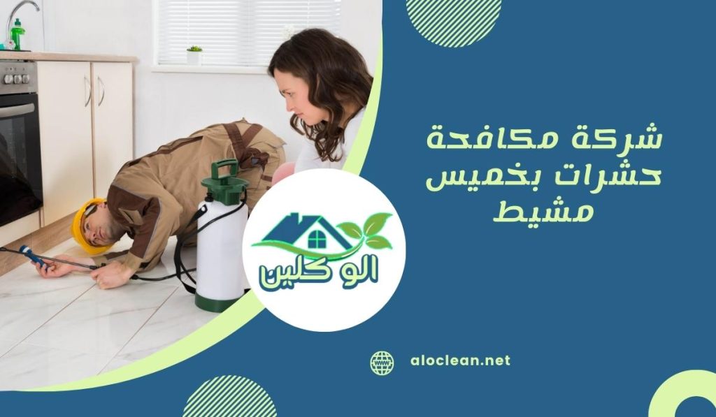 شركة مكافحة حشرات بخميس مشيط