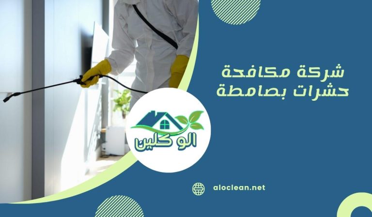 شركة مكافحة حشرات بصامطة