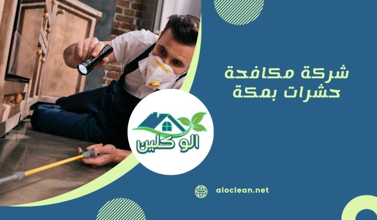 شركة مكافحة حشرات بمكة