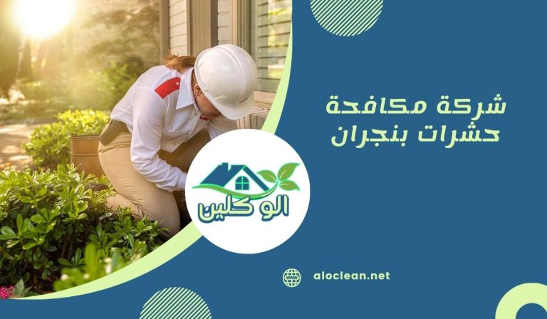 شركة مكافحة حشرات بنجران