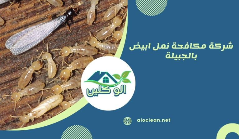 شركة مكافحة نمل ابيض بالجبيلة