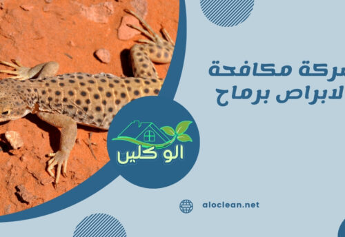 شركة مكافحة الابراص برماح