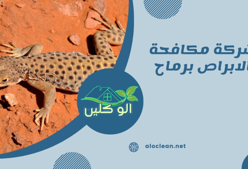 شركة مكافحة الابراص برماح