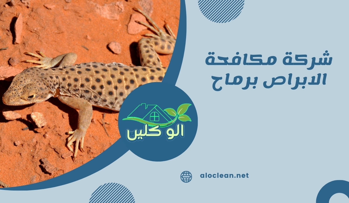 شركة مكافحة الابراص برماح 0547271663