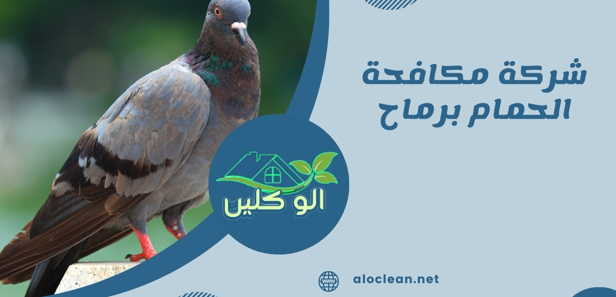 شركة مكافحة الحمام برماح