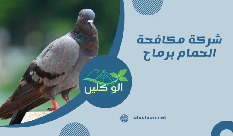 شركة مكافحة الحمام برماح 49 شركة مكافحة الحمام برماح
