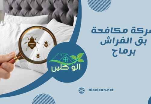 شركة مكافحة بق الفراش برماح
