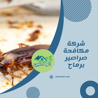 شركة مكافحة صراصير برماح