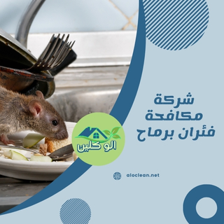 شركة مكافحة فئران برماح